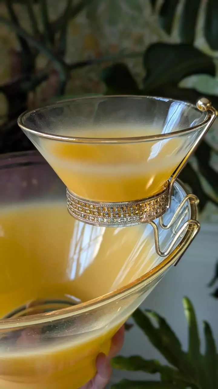 plant/Blendo yellow tangerine chips and dip serving bowl-1