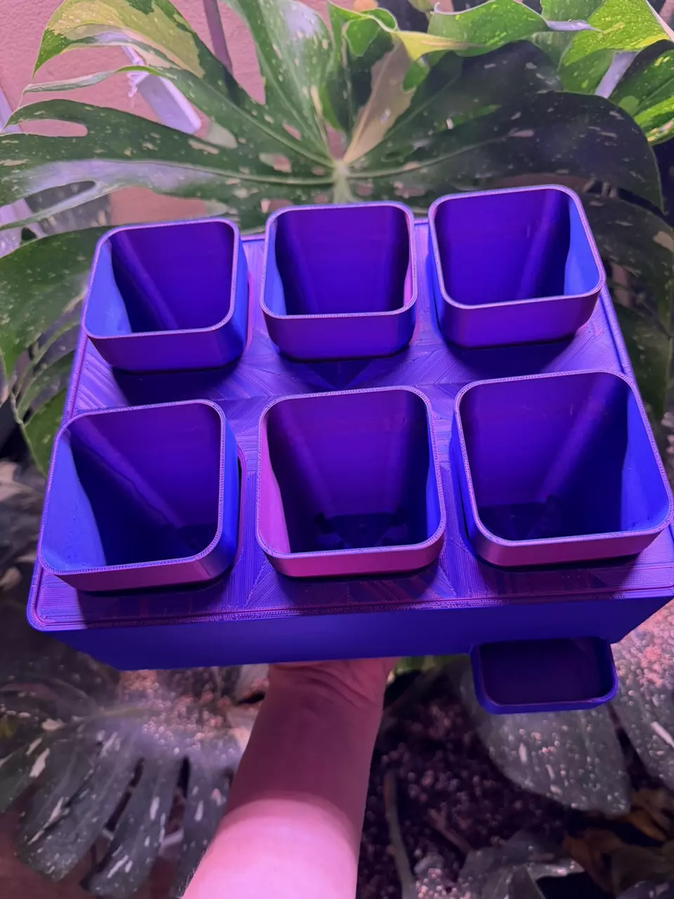 plant/CUSTOM LID AND POTS ONLY (no base) color customization available-1