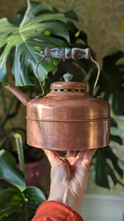plant/large copper tea pot, made in england-2-thumbnail