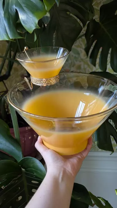 plant/Blendo yellow tangerine chips and dip serving bowl-2-thumbnail