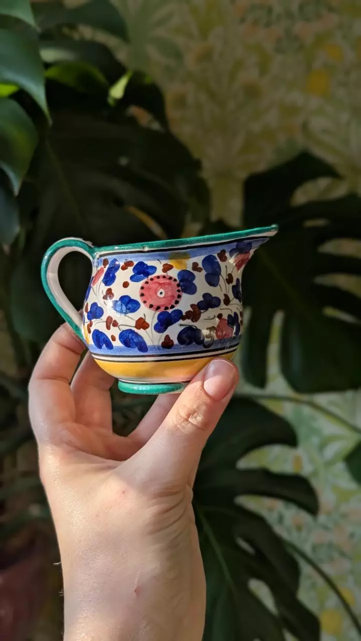 plant/colorful hand painted creamer, marked Deruta Italy-0