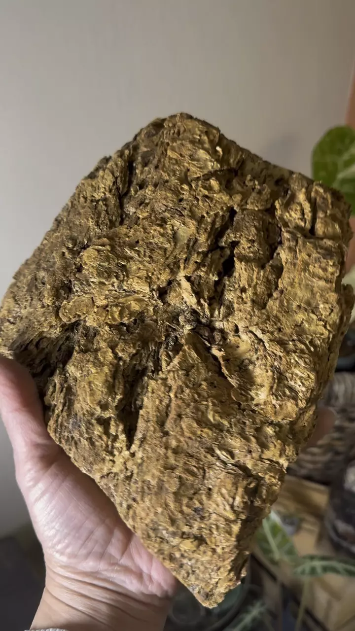 plant/Redwood Driftwood - Bleached-Sterilized & Varnished - 18-0