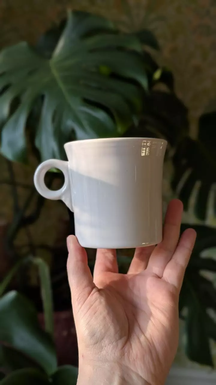 plant/set of 4 fiesta shaver style mugs in white-0