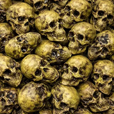 plant/Staging Skulls - 5 Green-0-thumbnail