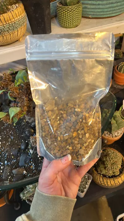 plant/Reel Rootz Top Dressing-0-thumbnail