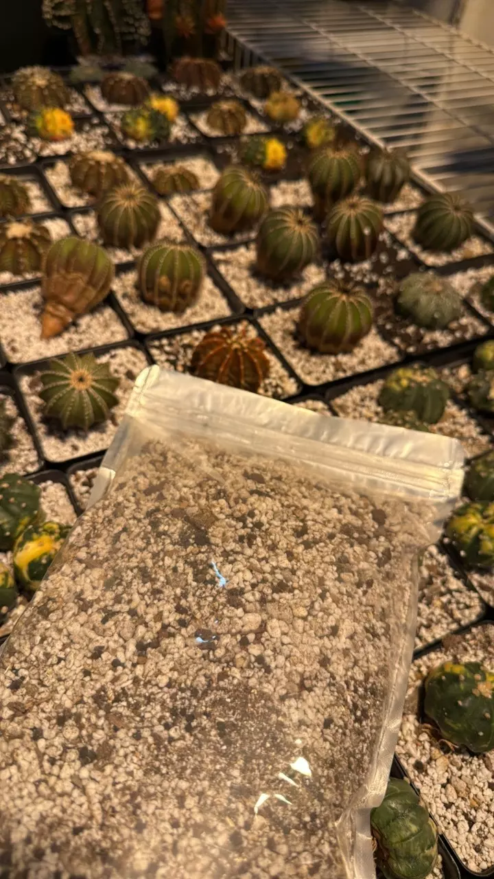 plant/Reel Rootz Media Mix-0