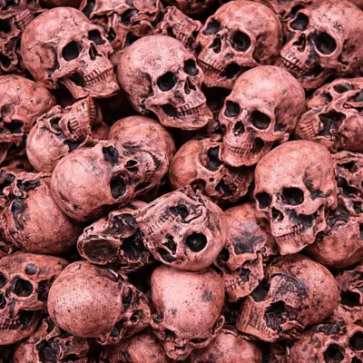 plant/Staging Skulls - 5 Pink Skulls-0-thumbnail