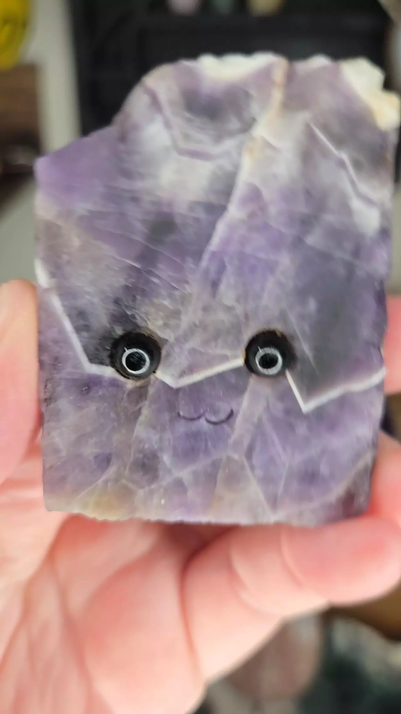 plant/Dream Amethyst Free Form Crystal Buddy-3