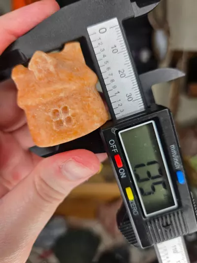 plant/Orange Calcite Mushroom Cottage Crystal Carving-2-thumbnail