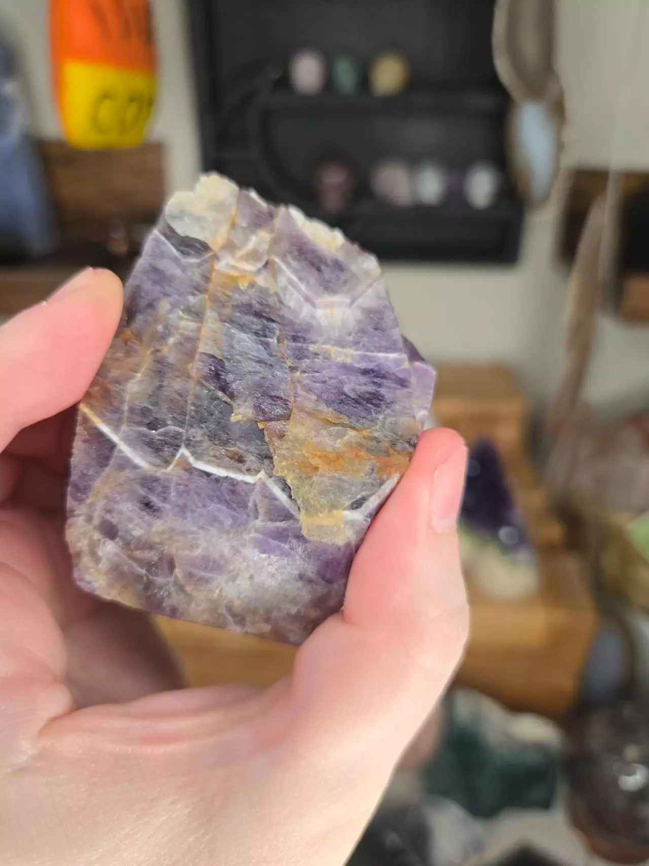 plant/Dream Amethyst Free Form Crystal Buddy-1