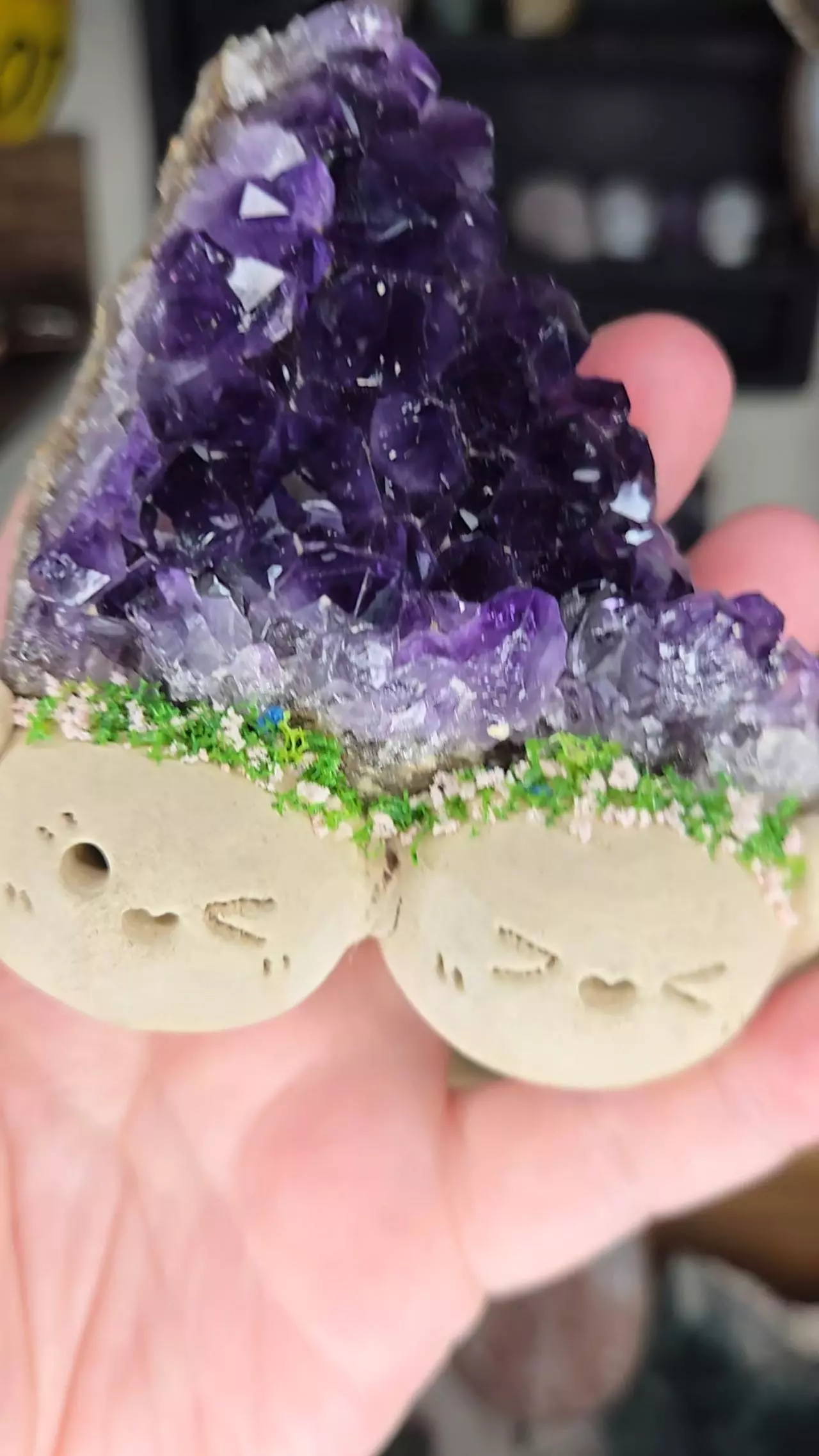 plant/Uruguay Amethyst Specimen Double Clay Crystal Buddy-4