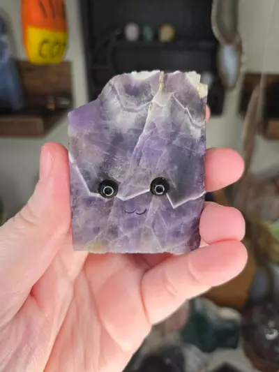 plant/Dream Amethyst Free Form Crystal Buddy-0-thumbnail