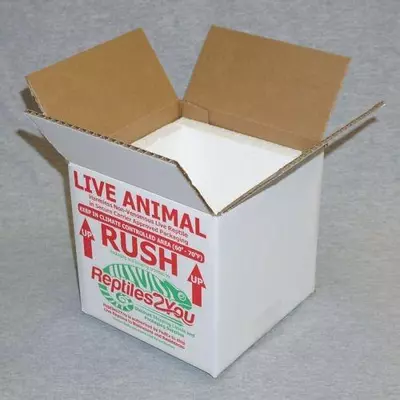 plant/FedEx Overnight Priority Shipping upgrade-0-thumbnail