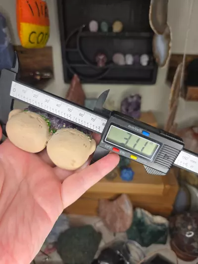 plant/Uruguay Amethyst Specimen Double Clay Crystal Buddy-3-thumbnail