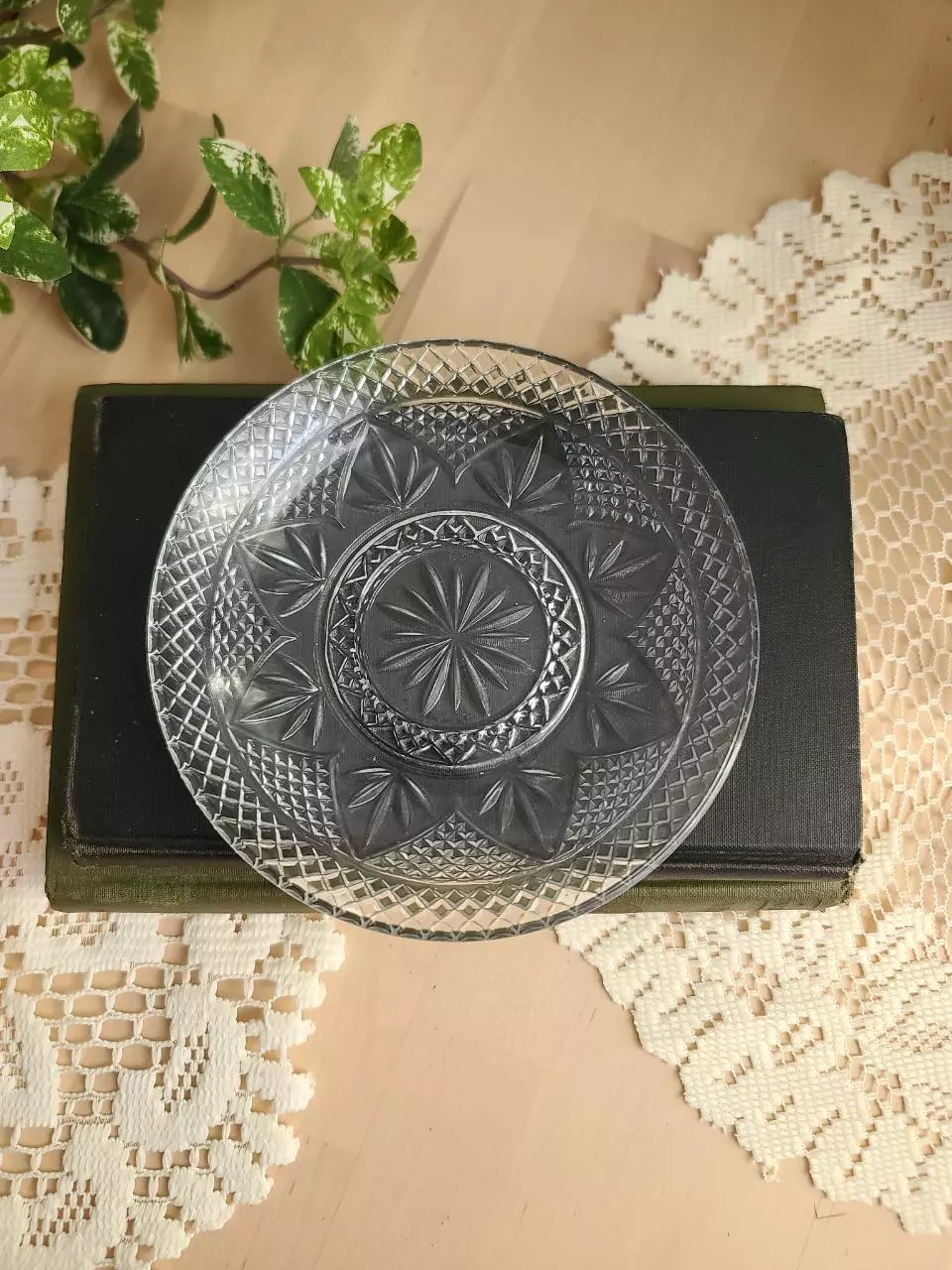 plant/Luminarc Cristal d'Arques Clear Glass Plate-0