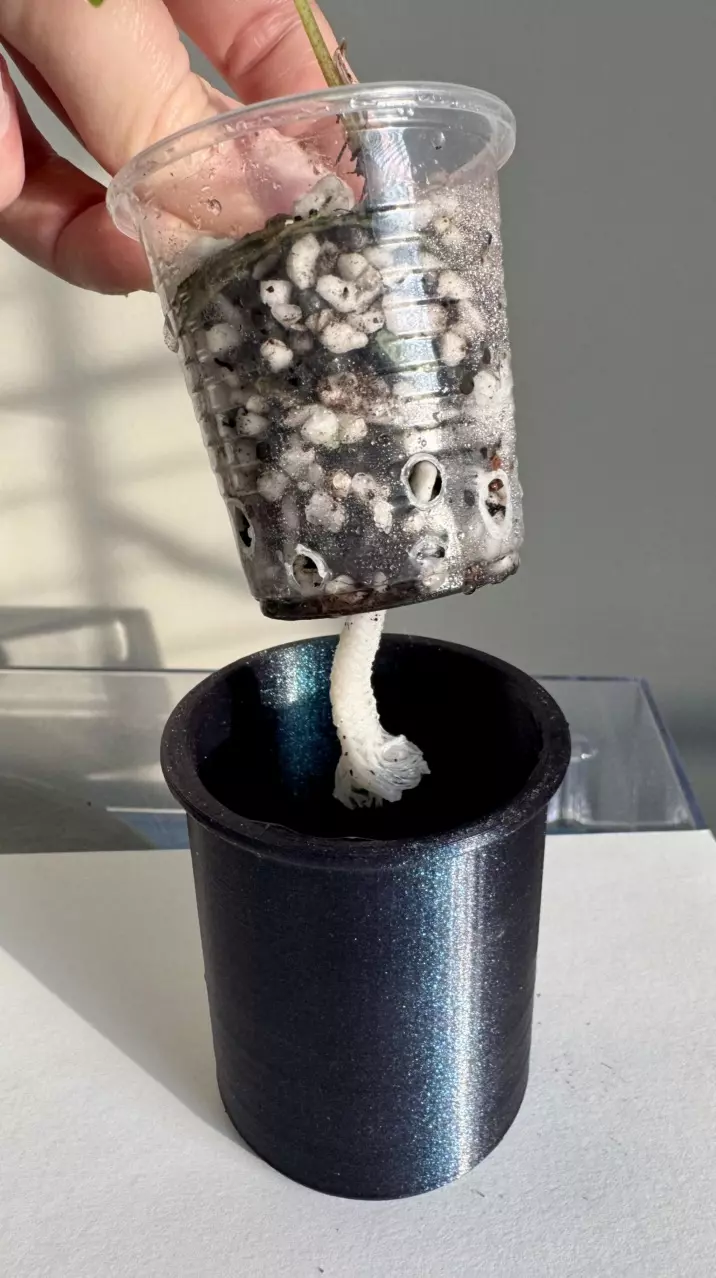 plant/Cache pot, inner pot and lid 3D printed pot - plant not included-1