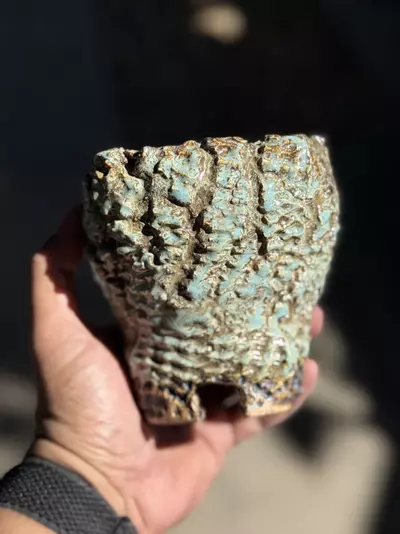 plant/Antique blue footed 4.25x4.5H-0-thumbnail