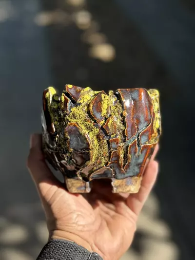 plant/Bumblebee footed 4.5x4H-0-thumbnail