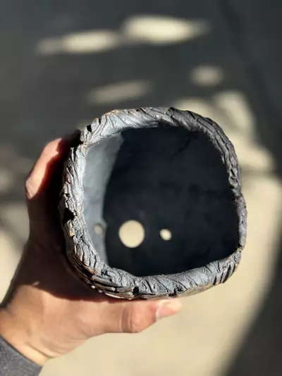 plant/Mud crack bigger footed 5x5.75H-1-thumbnail