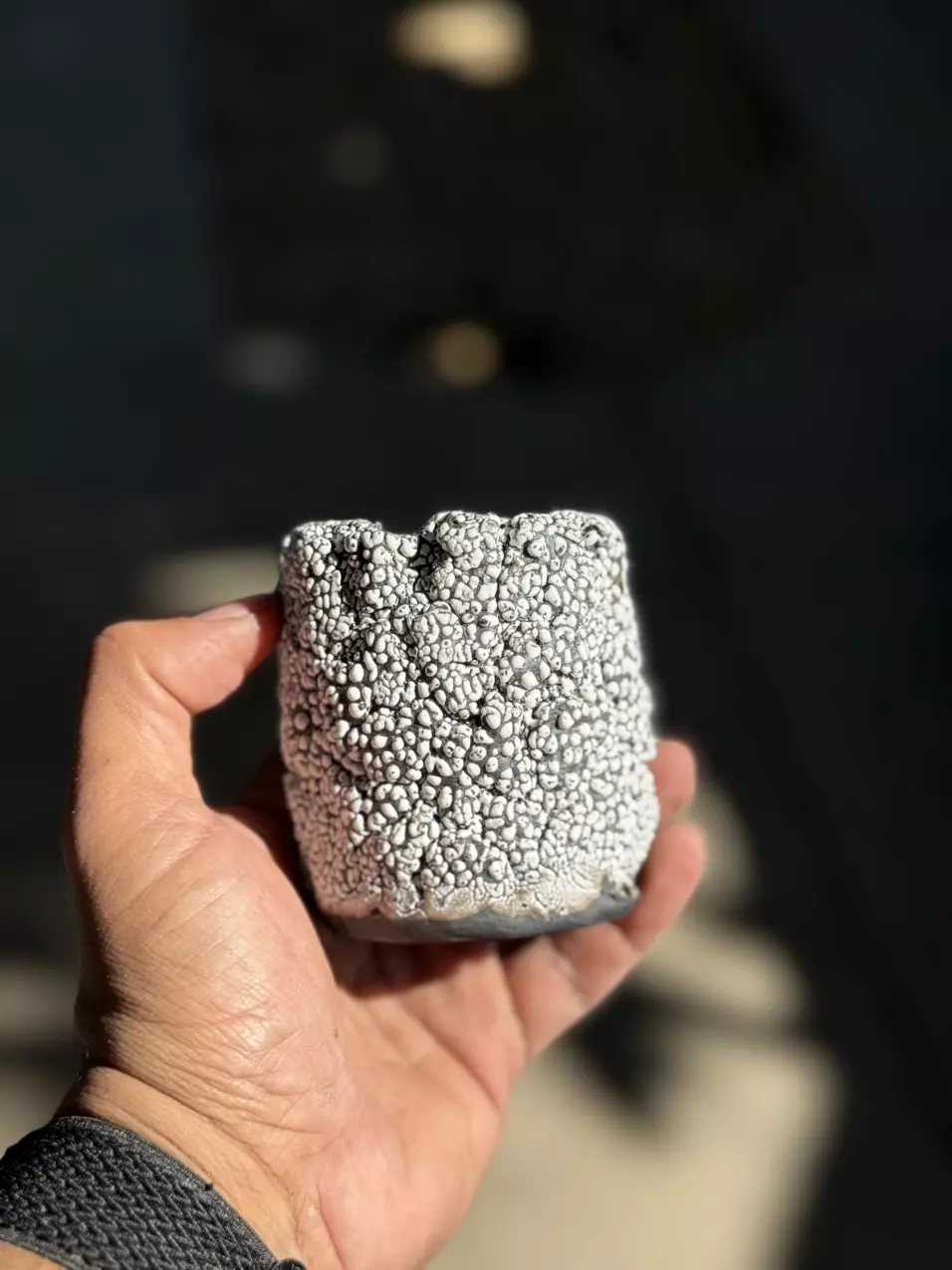 plant/Smooth coconut 2.75x3.25H-0