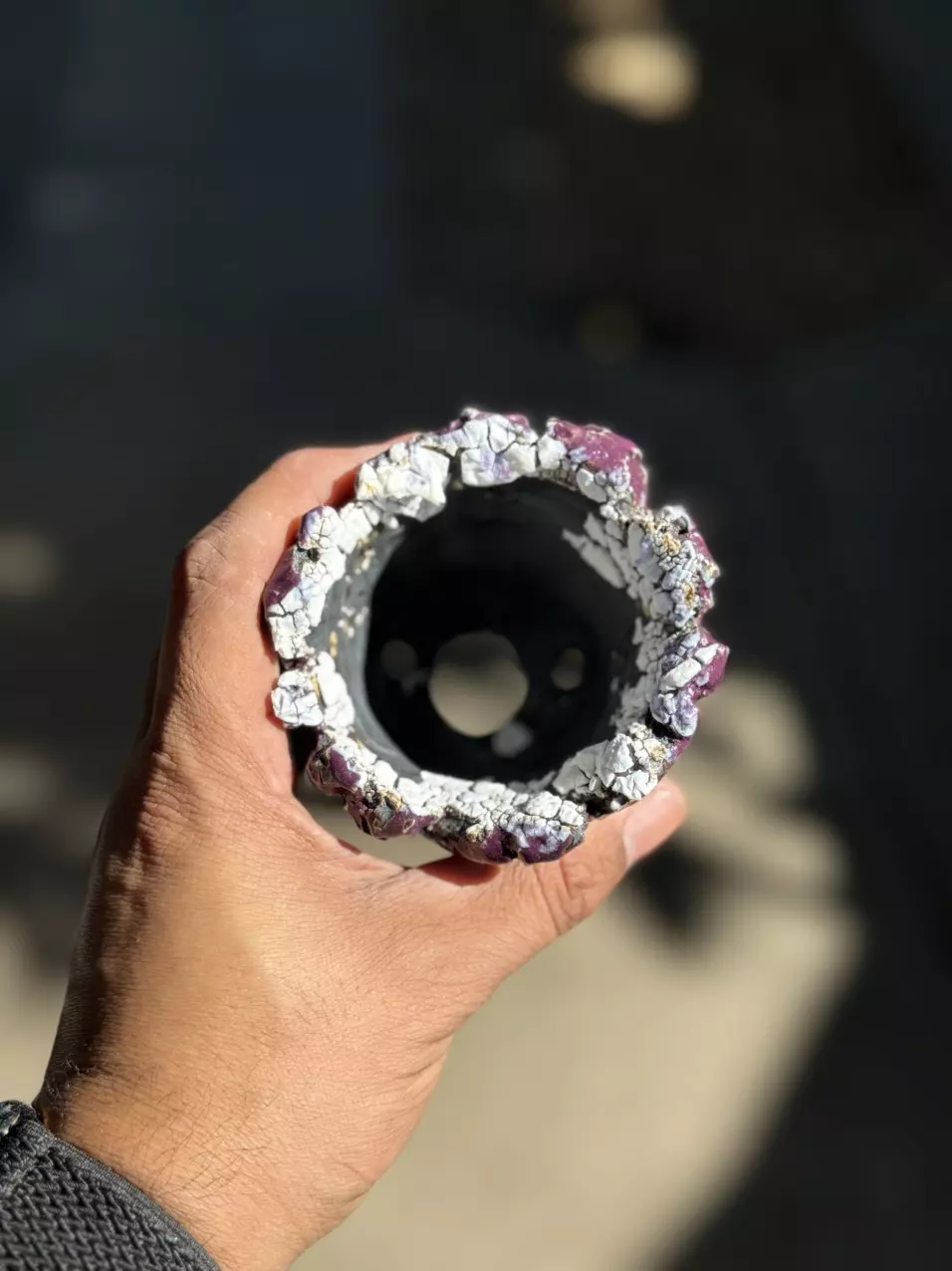 plant/Purple coconut 3.25x3H-1