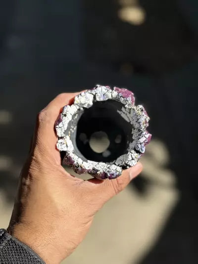 plant/Purple coconut 3.25x3H-1-thumbnail