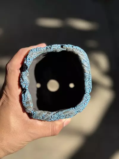 plant/Smooth blue footed 4.25x4.25-1-thumbnail