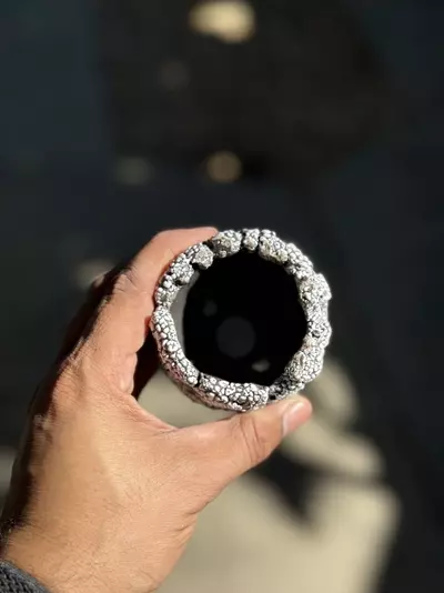 plant/Smooth coconut 2.75x3.25H-1-thumbnail