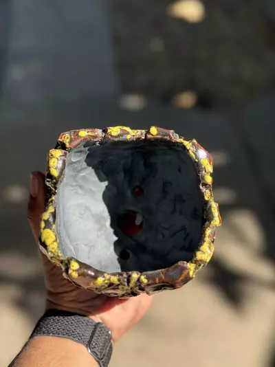 plant/Bumblebee footed 4.5x4H-1-thumbnail