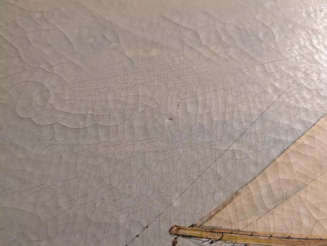 plant/M.G. Friedrich Sailing painting-1