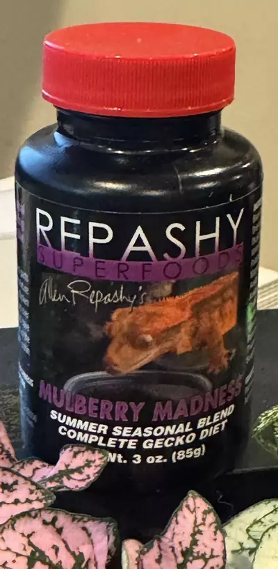 plant/Mulberry madness 3 oz-0-thumbnail