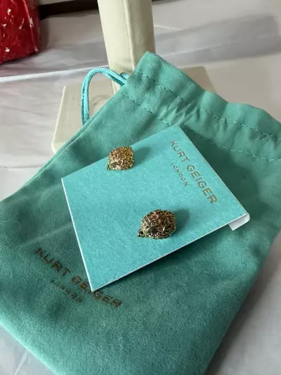 plant/Kurt Geiger London rainbow Pave stud earrings-2-thumbnail