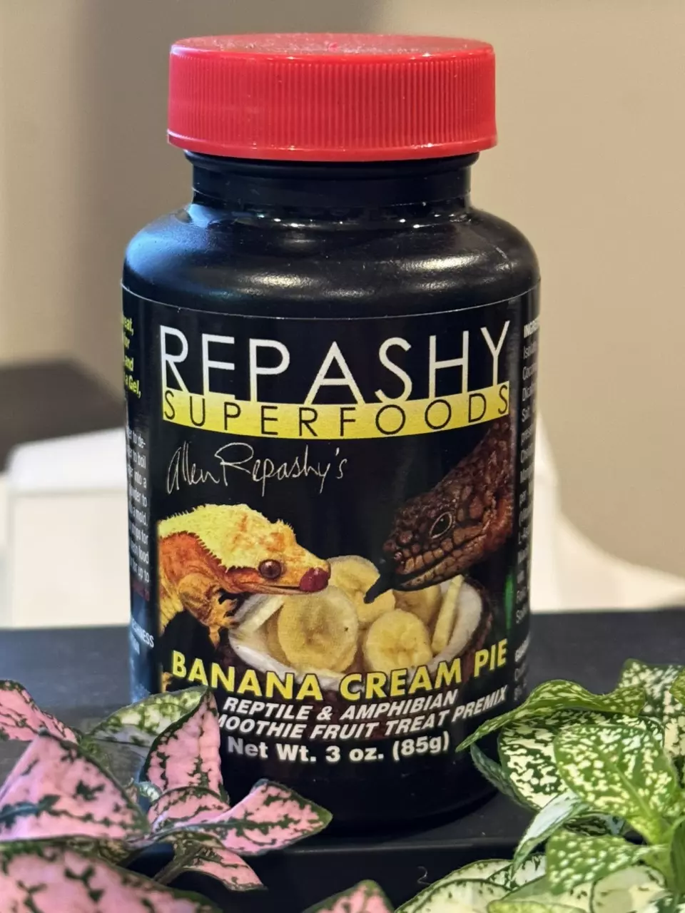 plant/Banana cream pie-0