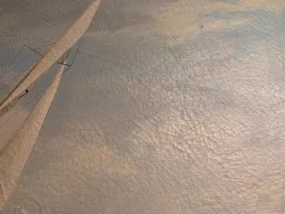 plant/M.G. Friedrich Sailing painting-2-thumbnail