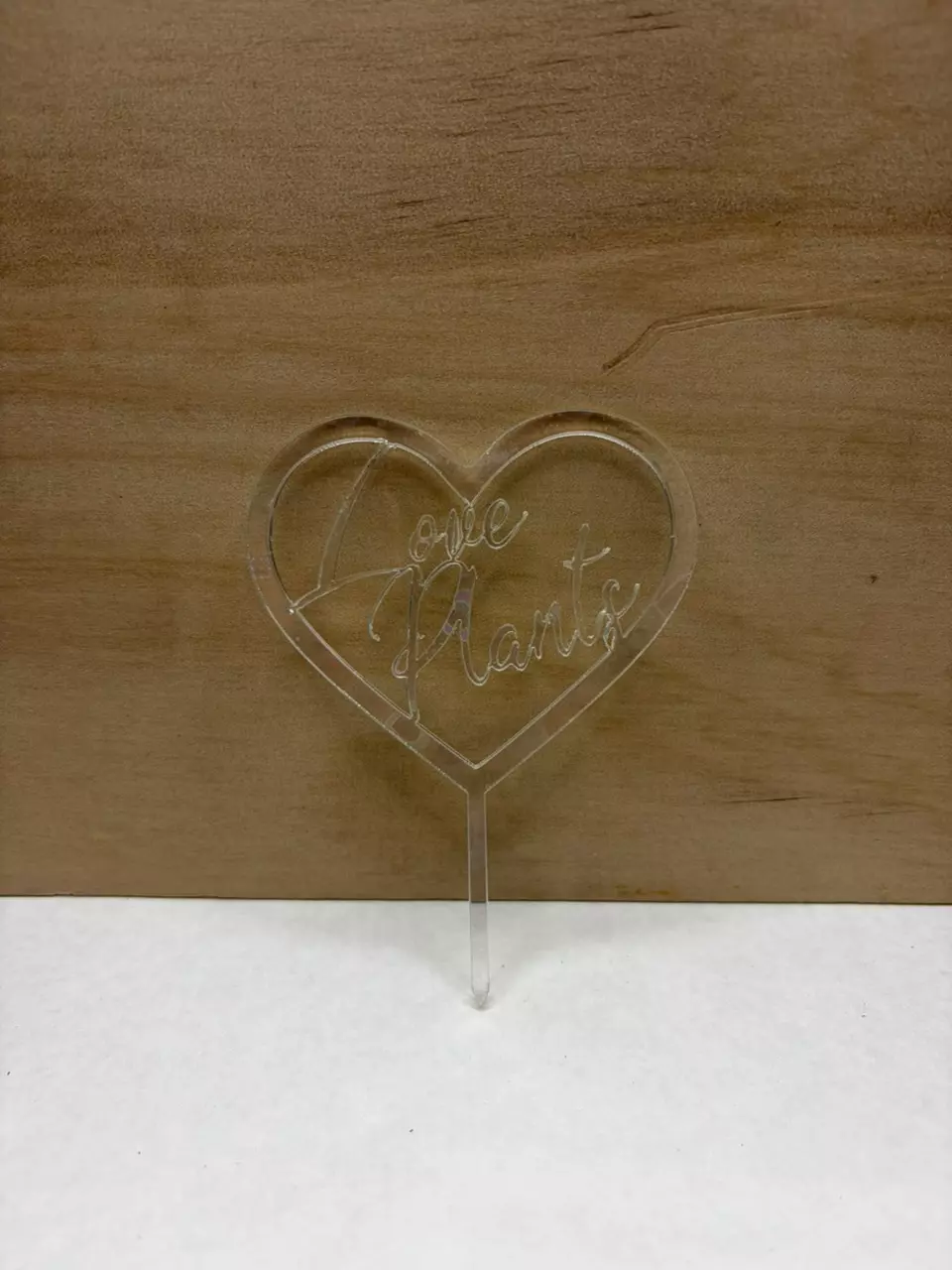 plant/3pk Holographic Hearts Love Plants Pot Pal-0