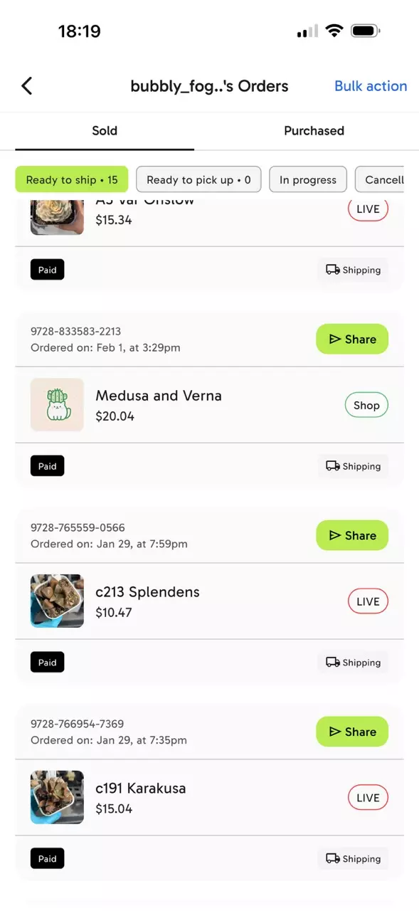 plant/Bundle for bubbly-1