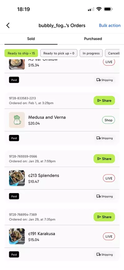 plant/Bundle for bubbly-1-thumbnail