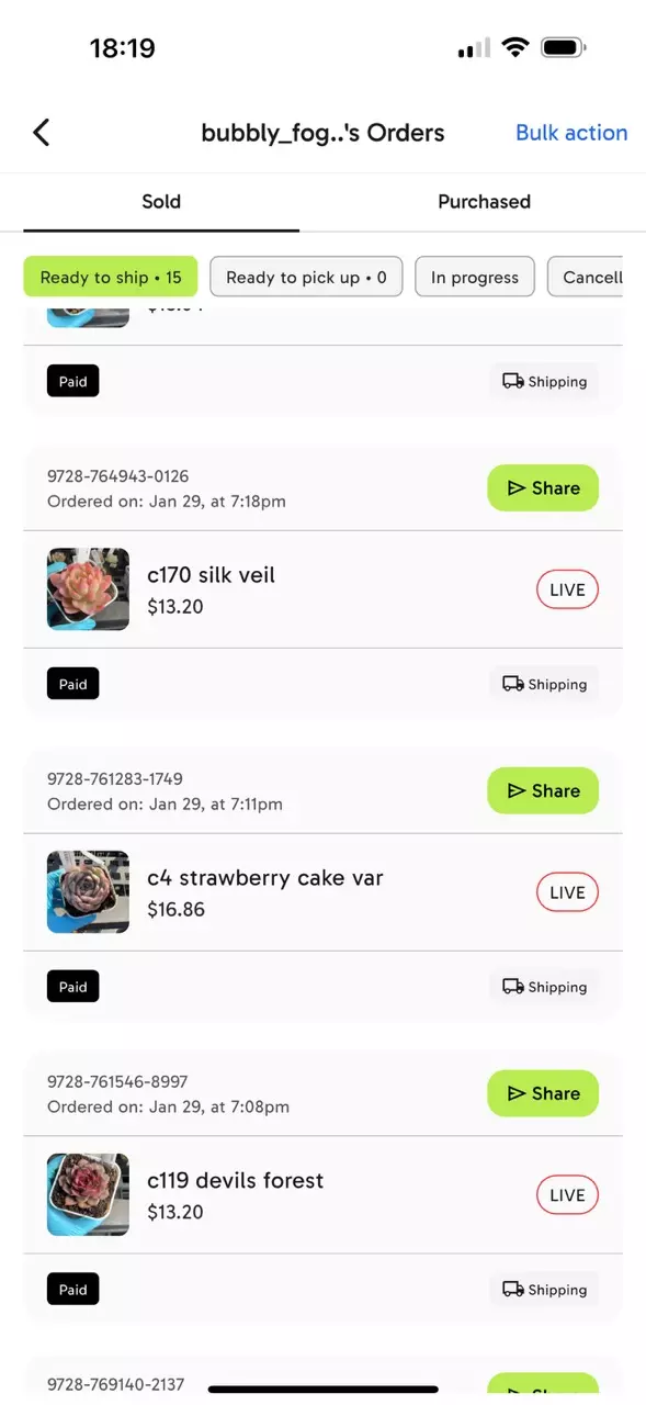 plant/Bundle for bubbly-0