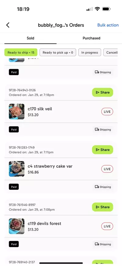 plant/Bundle for bubbly-0-thumbnail