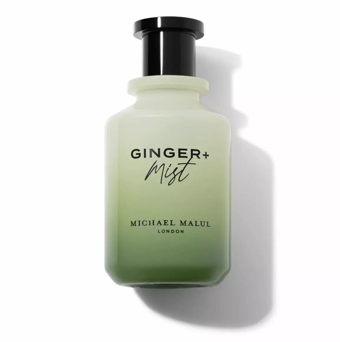 plant/Ginger+Mist 3.4fl Oz Michael Malul-0