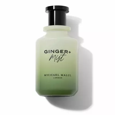 plant/Ginger+Mist 3.4fl Oz Michael Malul-0-thumbnail