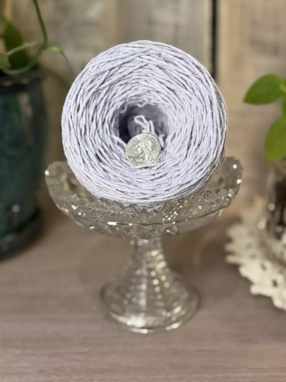 plant/Banana Republic - 100grams-3