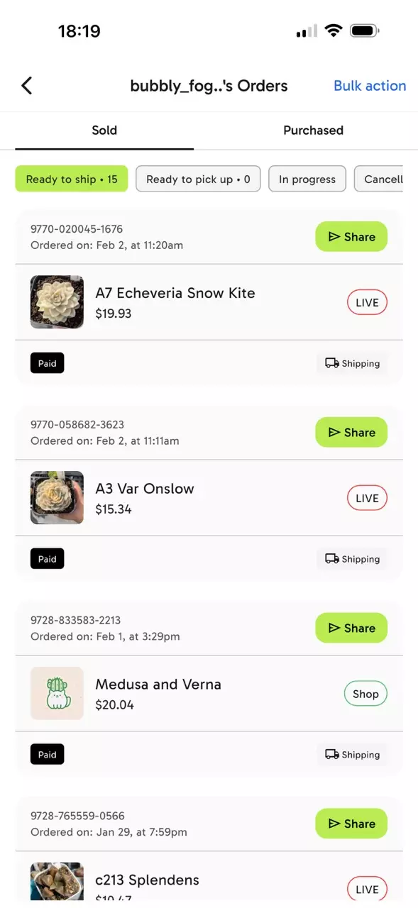 plant/Bundle for bubbly-2