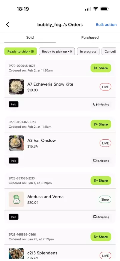 plant/Bundle for bubbly-2-thumbnail