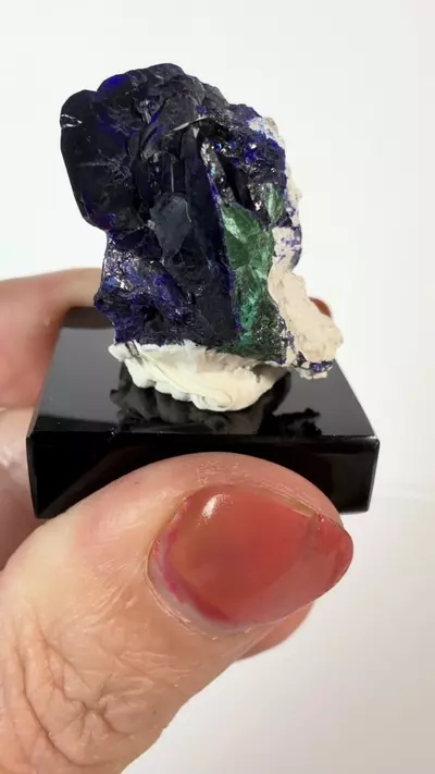 plant/Azurite Mineral Specimen from Milpillas Mine-2-thumbnail