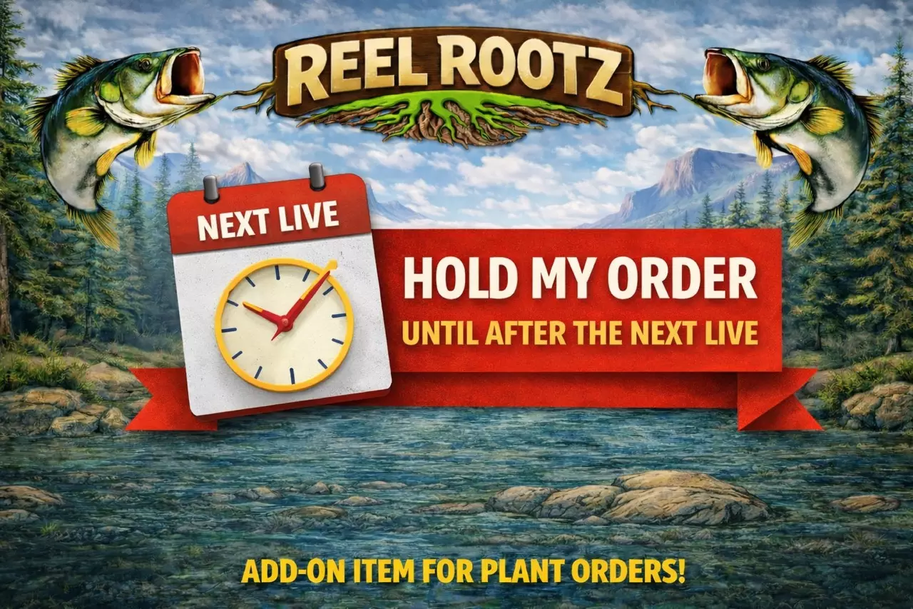 free_shipping/Hold My Order-0