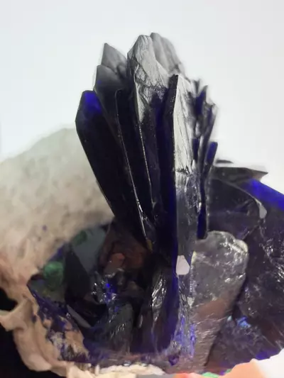 plant/Azurite Mineral Specimen from Milpillas Mine-1-thumbnail