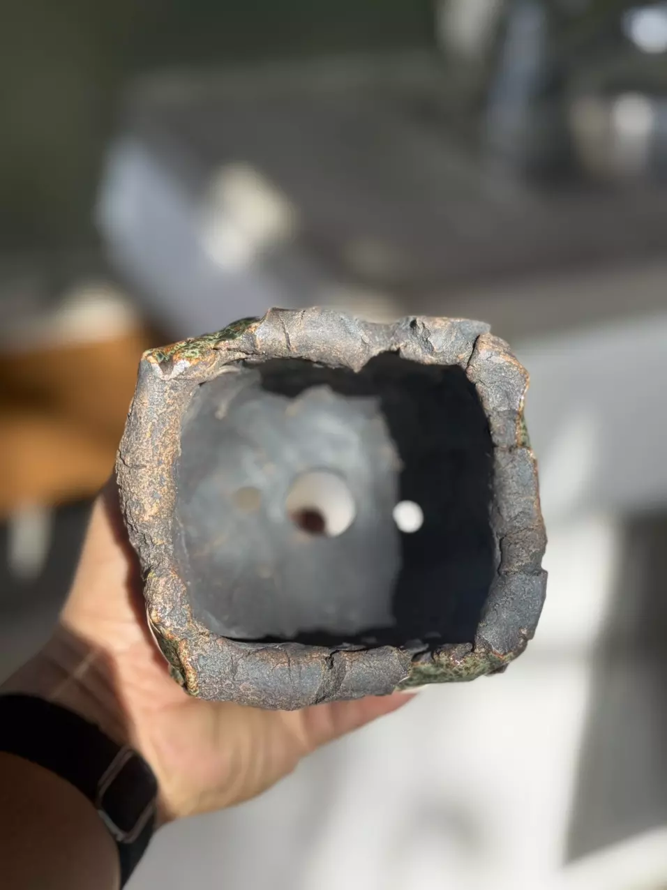 plant/Hoya lines footed square 4x5H-1