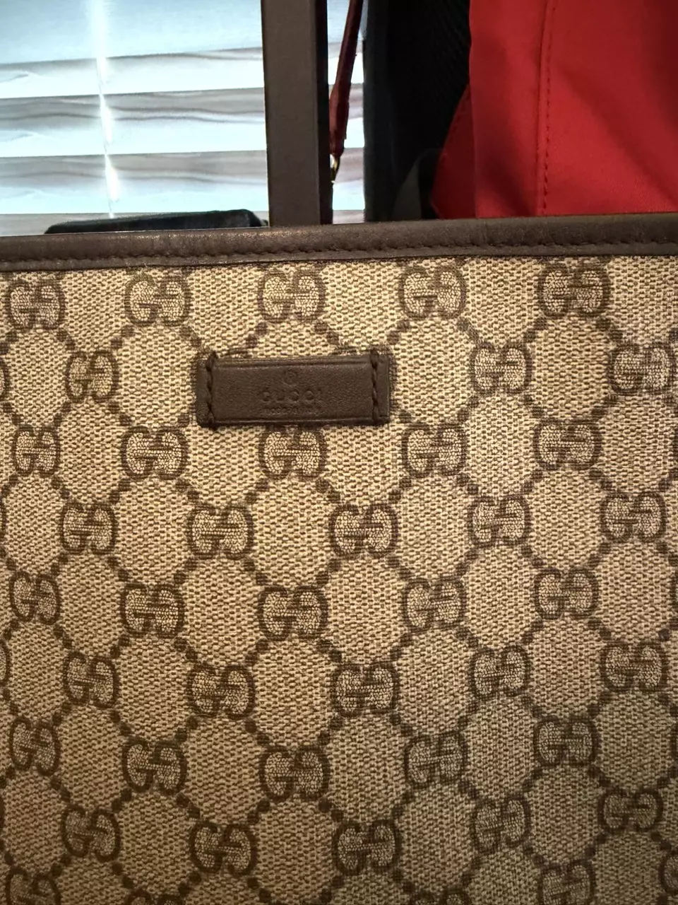 plant/Gucci Monogram Lrg Croasbody-1