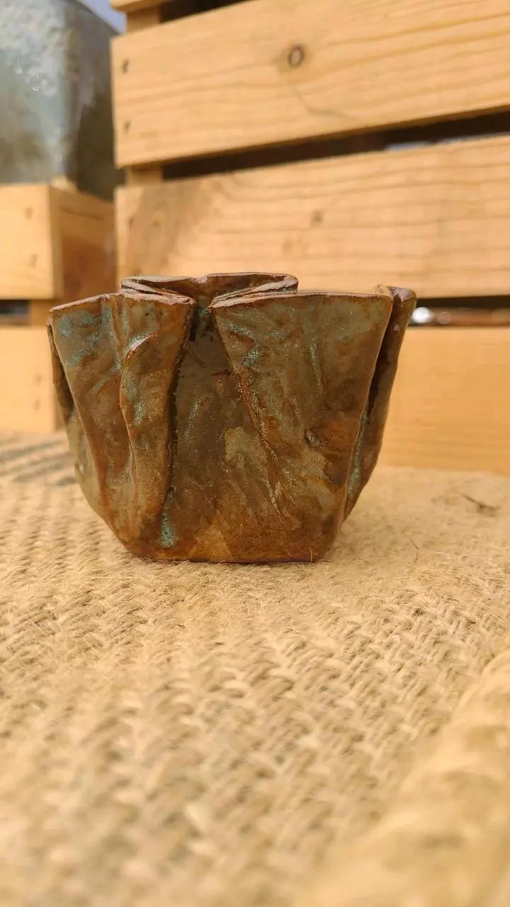 plant/Pot C1 - Eric pots-1